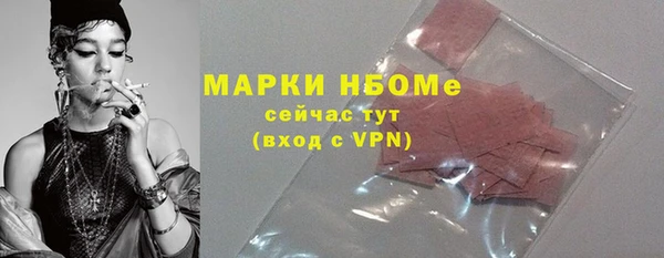 стаф Козловка
