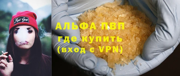 стаф Козловка