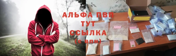 МДПВ Козельск
