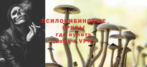 эйфоретик Костерёво