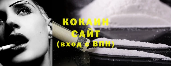 стаф Козловка