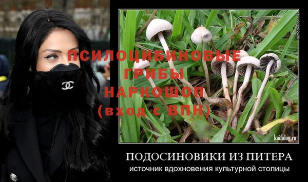 герыч Коряжма