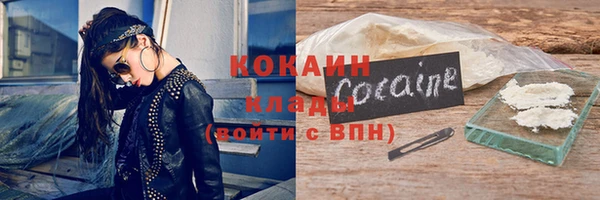 стаф Козловка