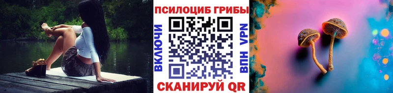 Галлюциногенные грибы Magic Shrooms  где можно купить наркотик  кракен онион  Кубинка 