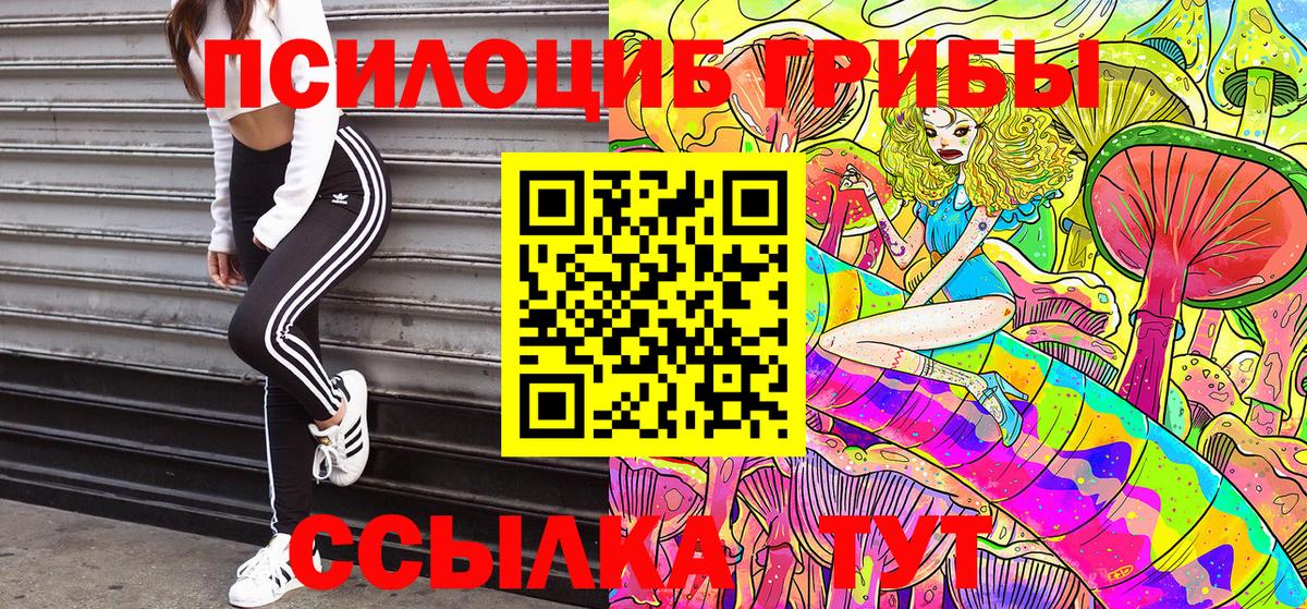 Псилоцибиновые грибы MAGIC MUSHROOMS  Псилоцибиновые грибы мицелий  Кубинка  закладка  Вход с VPN 